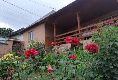 Comuna Augustin, casa deosebita, renovata integral, mobilata si utilata full!!! - 4