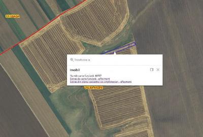 Cota de 1/24 din teren situat in Valea Mare, Jud Olt Cota de 1/24 din teren situat in Valea Mare, Jud Olt - 3