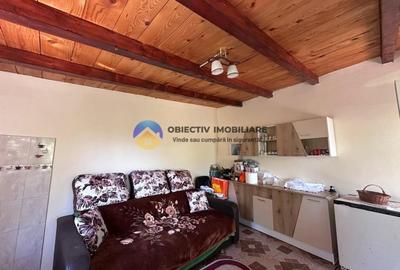 Casa + teren de vanzare - Zanesti - 18