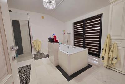 Vanzare proprietate - casa si terenValea Voievozilor Dambovita - 16
