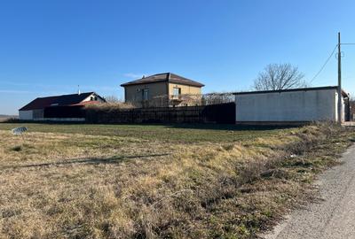 Gradistea- Ilfov, str. Nuferilor - 1000 mp - 9