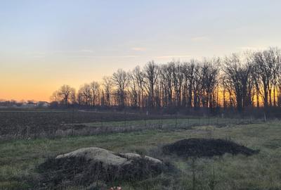 Teren de 699 mp, în Țegheș