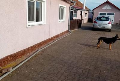 Casă cu 3 camere în Aurel Vlaicu