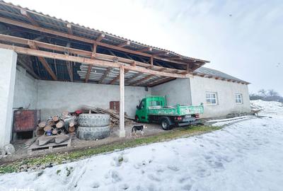 Spațiu comercial, de 500 mp, în Adămuș - 5