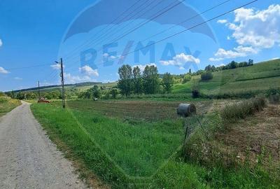 Teren de 2000 mp, în Central - 4