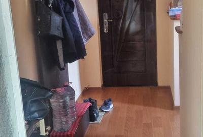 Apartament cu 2 camere semidecomandat în Broșteni - 8