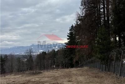 Teren de 15470 mp, în Prundu Bârgăului - 4