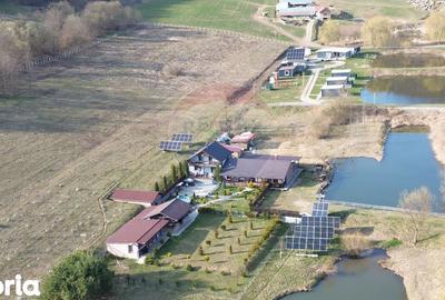 Teren de 7000 mp, în Laslea - 17