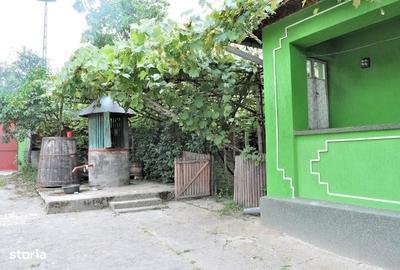 Casă cu 3 camere în Stârciu - 9