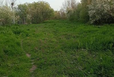 Casă cu 4 camere în Merișani - 2