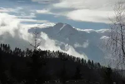 Apartament 2 camere Trei Brazi - 9