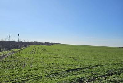 Spațiu comercial, în Cheșa - 1