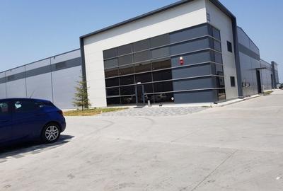 Spațiu industrial, 734 mp în Mogoșoaia