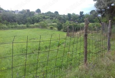 Teren de 2473 mp, în Bălteni - 1