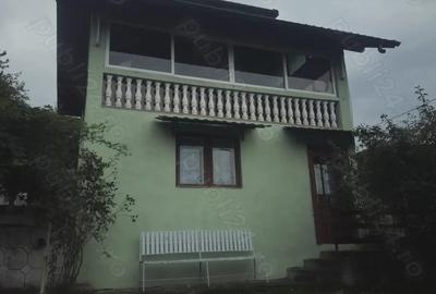 Gospodarie de vanzare in comuna Davide?ti, sat Voroveni. - 4