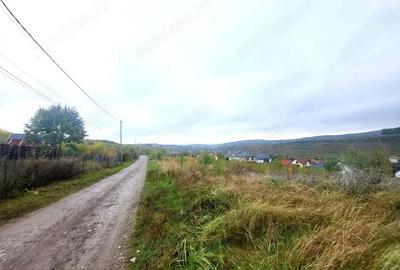 Teren de 774 mp, în Bârnova - 2