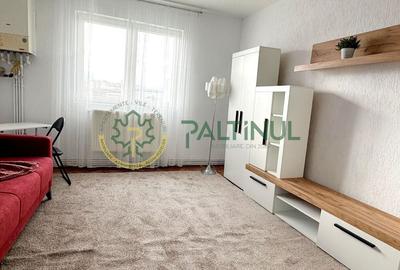 Garsoniera etaj 3 Lazaret- zona Compa - 3