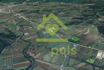 ? Teren intravilan 10.000 mp Mesteacan, jud. Hunedoara ? - 6