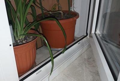 Apartament cu 2 camere în Central - 4