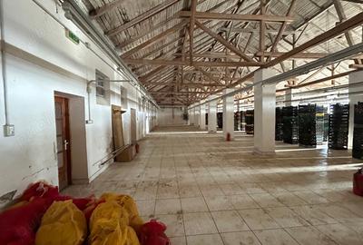 Spațiu comercial, de 7,000 mp, în Central - 6