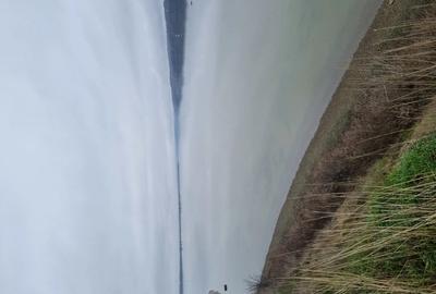 Vand casa aproape de dunare - 5