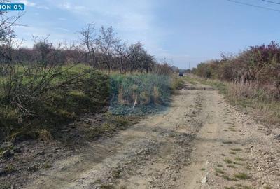Teren agricol extravilan de 2000 mp, în Făget
