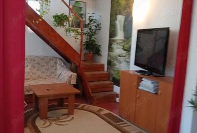 Vanzare apartament 2 camere curte si terasa mobilat utilat an 2007 - 6