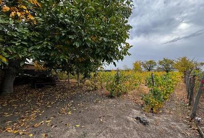 CASA DE VANZARE ODOBESTI (ZONA DE VILE) - 8