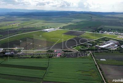 Teren de 9981 mp, în Șura Mică - 5