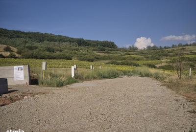 Spațiu comercial, în Ciugud - 5