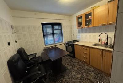 Apartament cu 2 camere semidecomandat, mobilat în George Enescu - 4