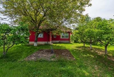 Vila de vis Snagov - Proprietate unică cu deschidere la lac - 12