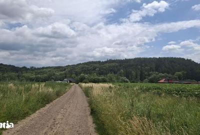 Teren de 5000 mp, în Șcheia - 3