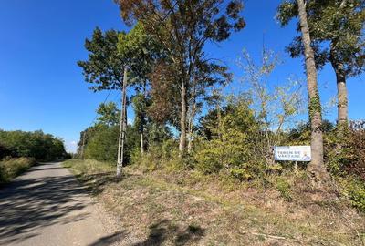 De vanzare Teren Intravilan Viile Satu Mare 2812MP/Dublu ... - 9