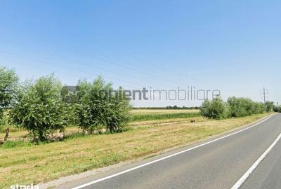 Teren de 14000 mp, în Nord - 3