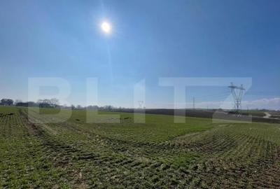 Teren de 7300 mp, în Central - 2