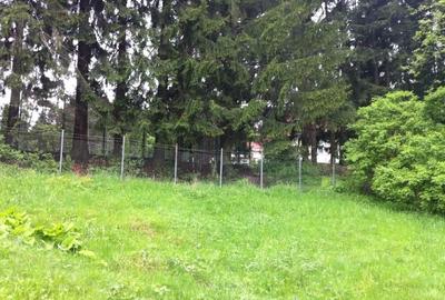 Teren intravilan Cotul Donului,pretabil Hotel/pensiune. - 11