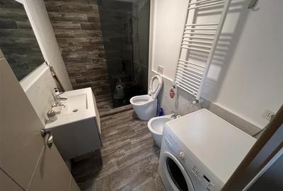 Apartament 2 camere,mobilat+utilat, bloc nou, zona Brailei - 9
