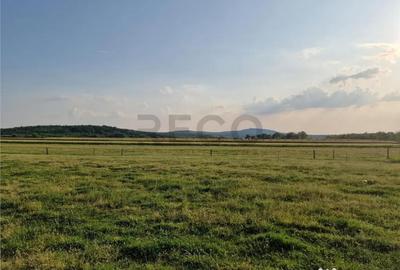 Teren de 500 mp, în Felcheriu - 8