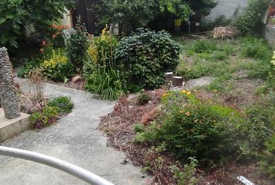 Casă cu Teren 282 Mp în Decebal - 5