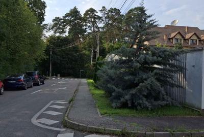 Vila exclusivista, padurea Dumbrava - 7