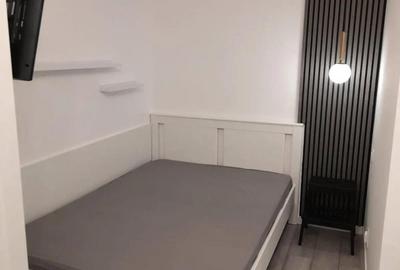 Garsonieră semidecomandată, mobilată în Gorjului - 2