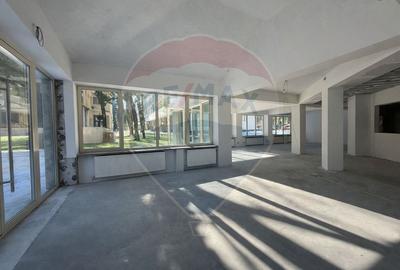 Spațiu comercial, de 428.08999633789 mp, în Central - 4