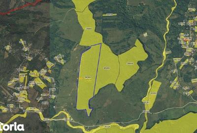 Teren de 140670 mp, în Lapoș - 2