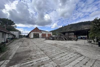 Spațiu comercial, de 1,280 mp, în Șoimoș - 13