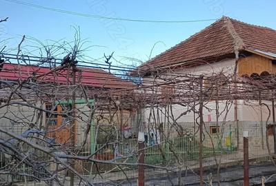 Casă în Roșia de Amaradia - 2