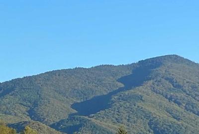 Spațiu comercial, în Sebeș - 2