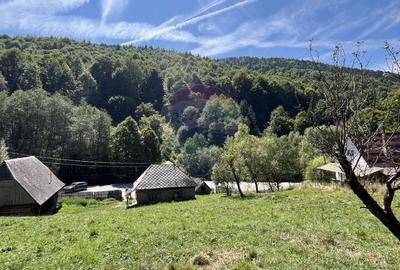 Teren Construcții intravilan de 2000 mp, în Răchițele - 4