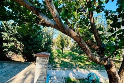Casa spațioasă -Ghilad,Tinisoara - 8