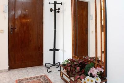 Apartament 3 camere, Grigore Alexandrescu, Piata Victoriei Apartament 3 camere, Grigore Alexandrescu, Piata Victoriei - 8